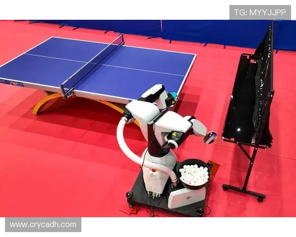 张娜的乒乓球人生：从小球场到世界舞台的深度对话与成长故事